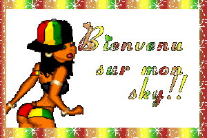 bienvenu sur mon skyblog VIP
